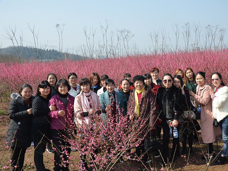 2018年三八妇女节龙泉镇青龙村度假村一日游