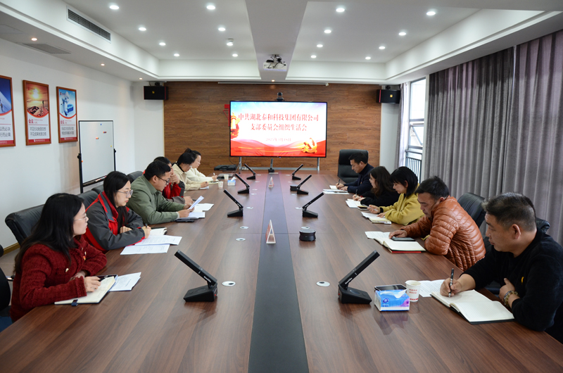 中国尊龙官方网站科技集团党支部组织开展2024年度组织生活会