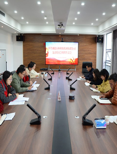 中国尊龙官方网站科技集团党支部组织开展2024年度组织生活会